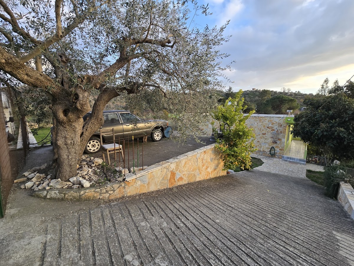 Cortina house photo 4