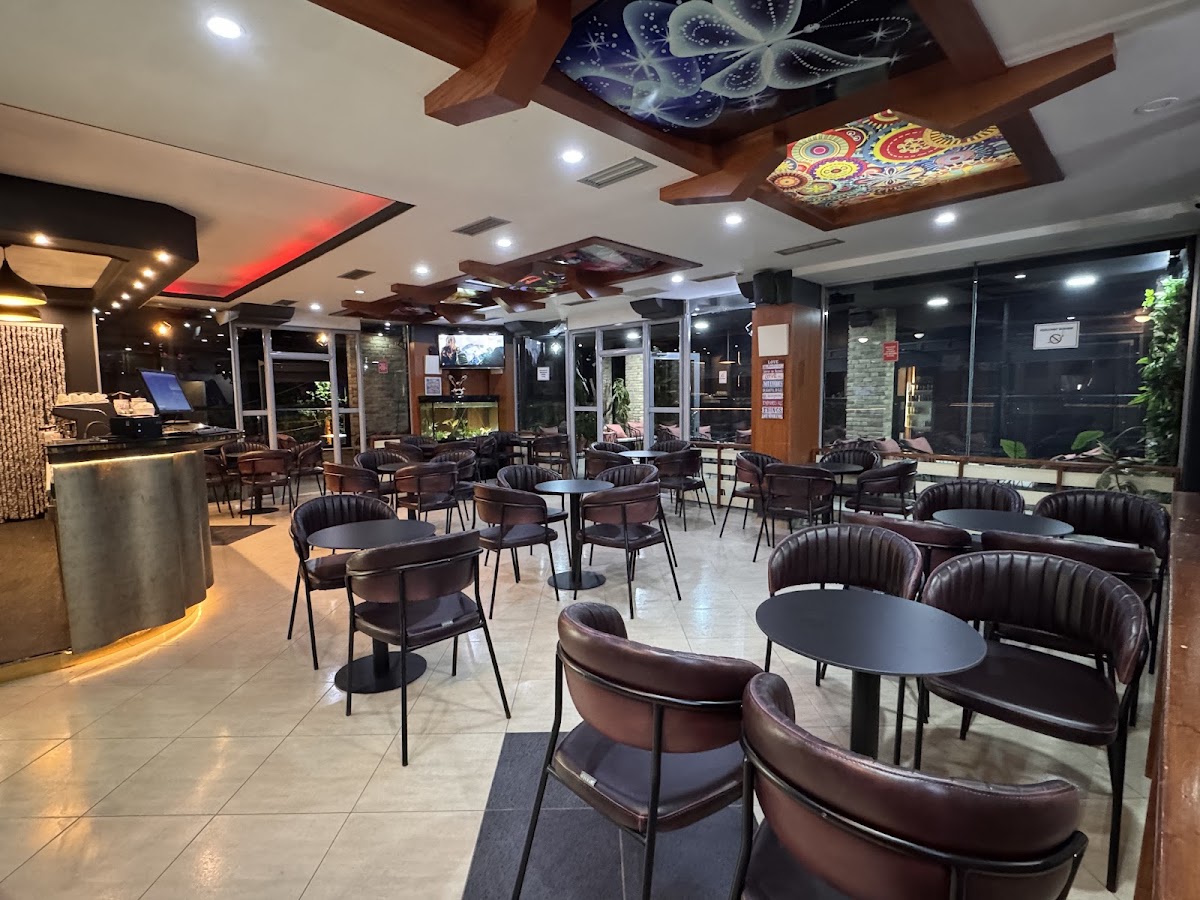Bar Elvi