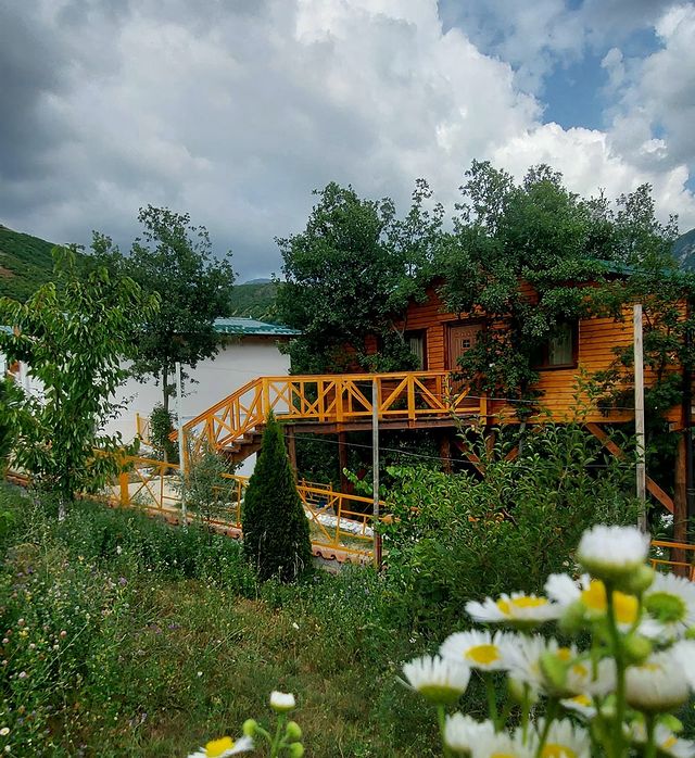 Kurora e Gjelbër