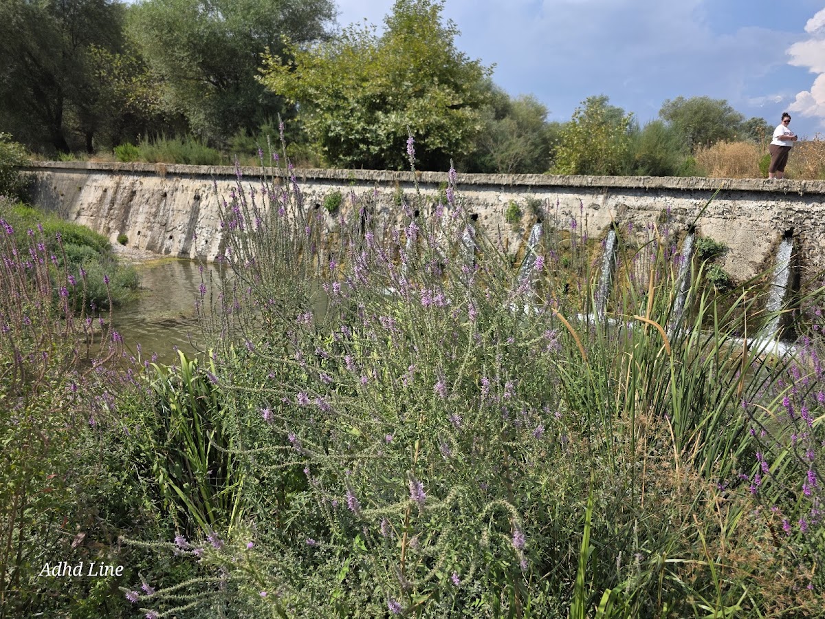 Castle River Dam photo 2