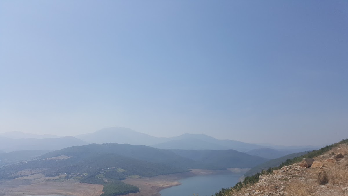 Bar Te Lori photo 3