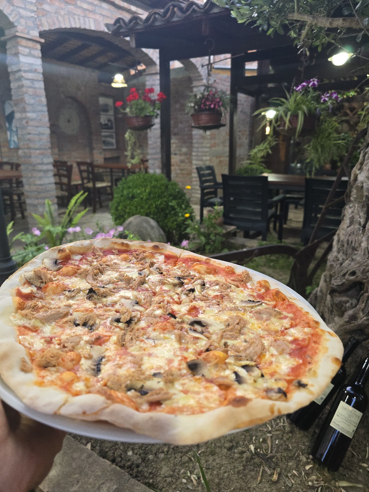 Pizzeri Taverna photo 4