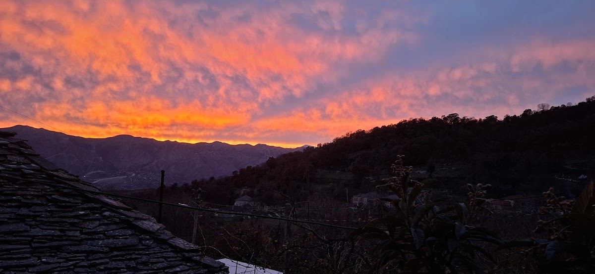 Stegopul photo 4