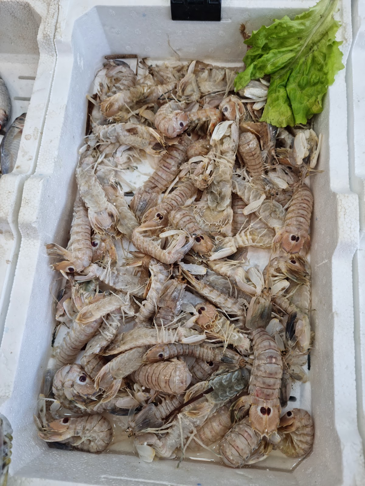 SEASIDE BITES photo 5