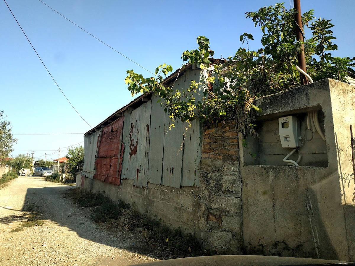 Levan photo 3
