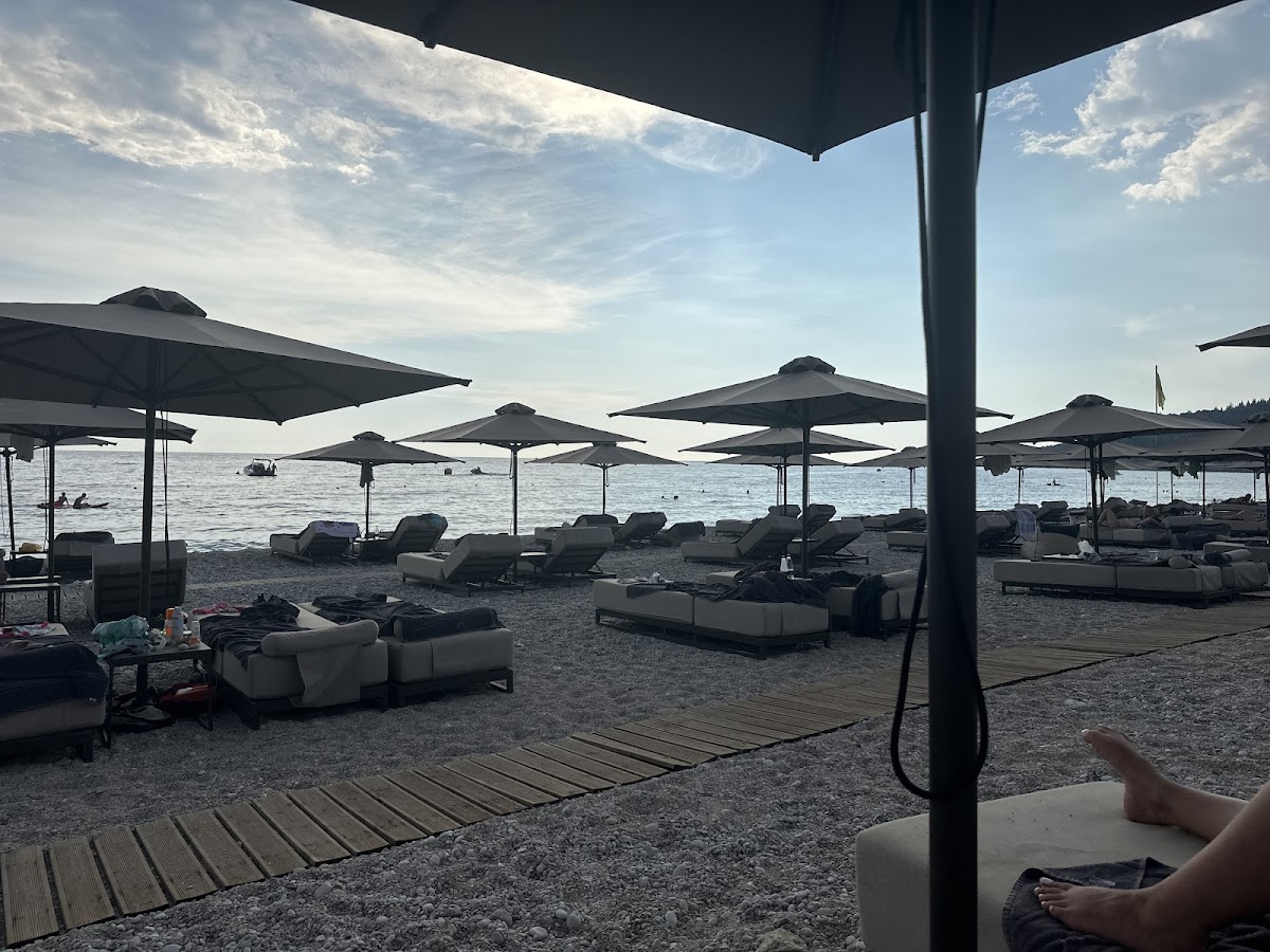 Prado Luxury Bar photo 4