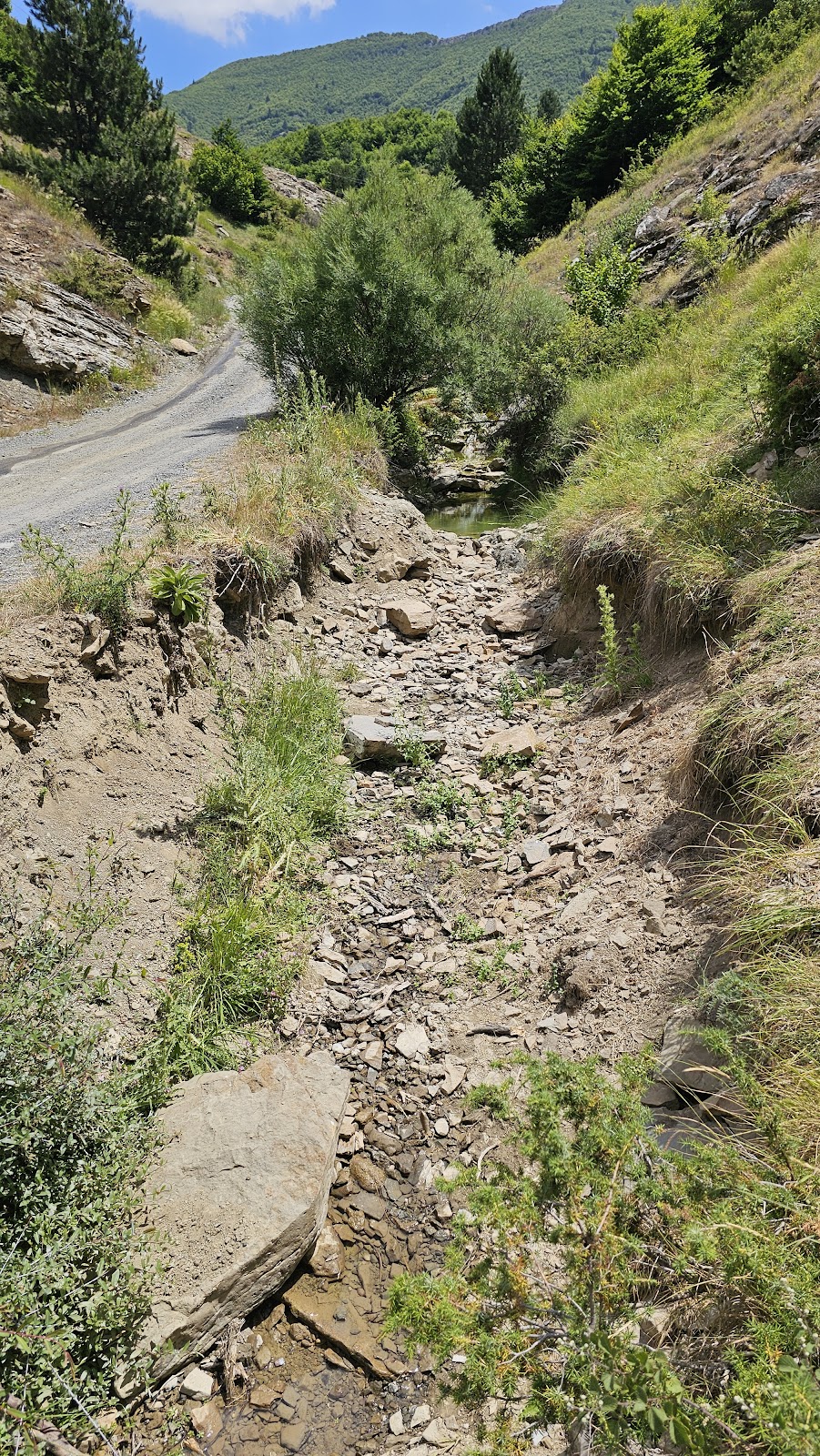 Sorkadhja photo 4