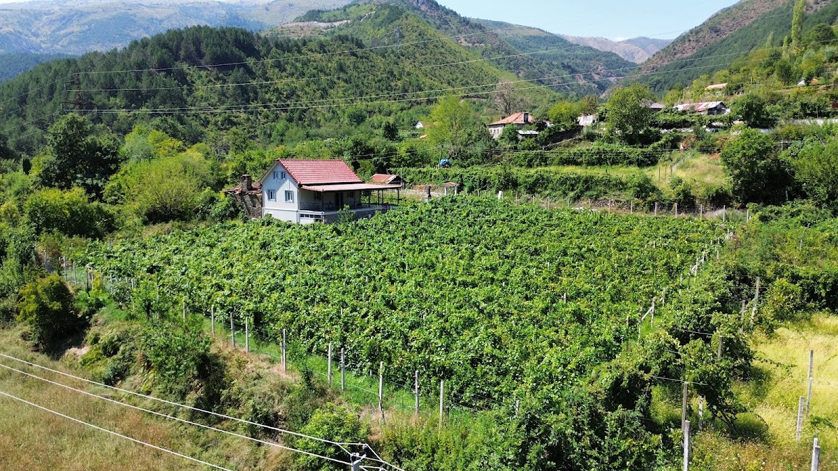 Kantina Tata photo 2