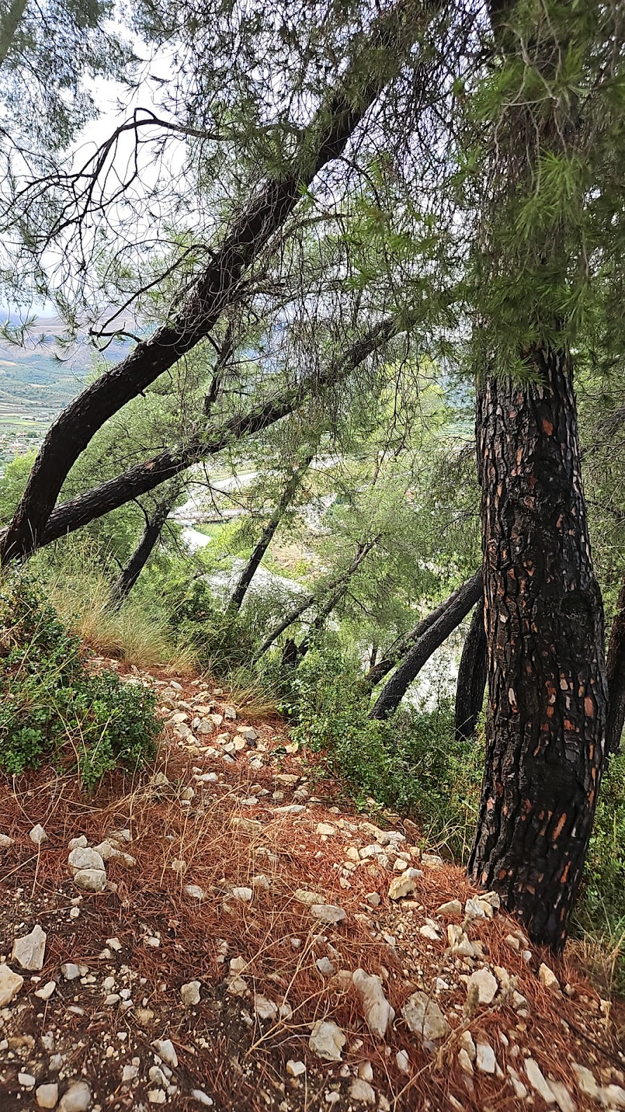 Punkt widokowy photo 3