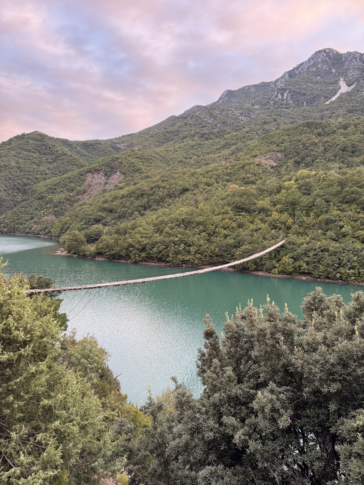 Suspension bridge photo 2