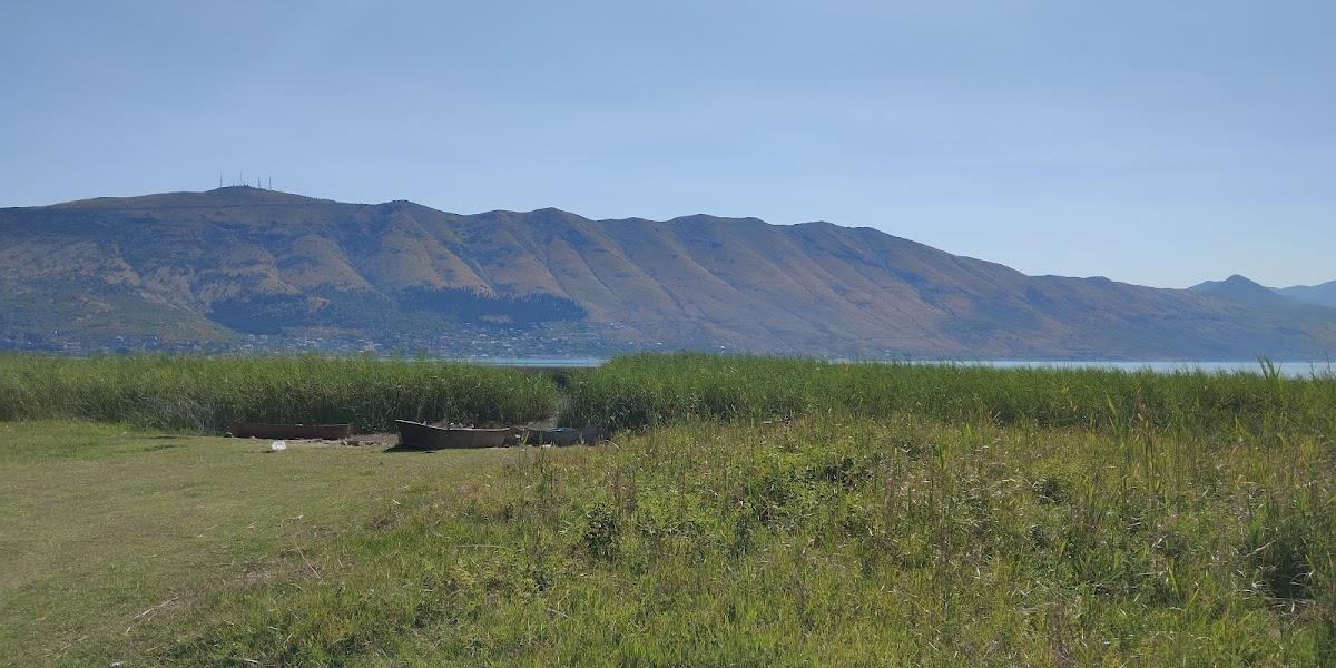 Boat tour photo 4
