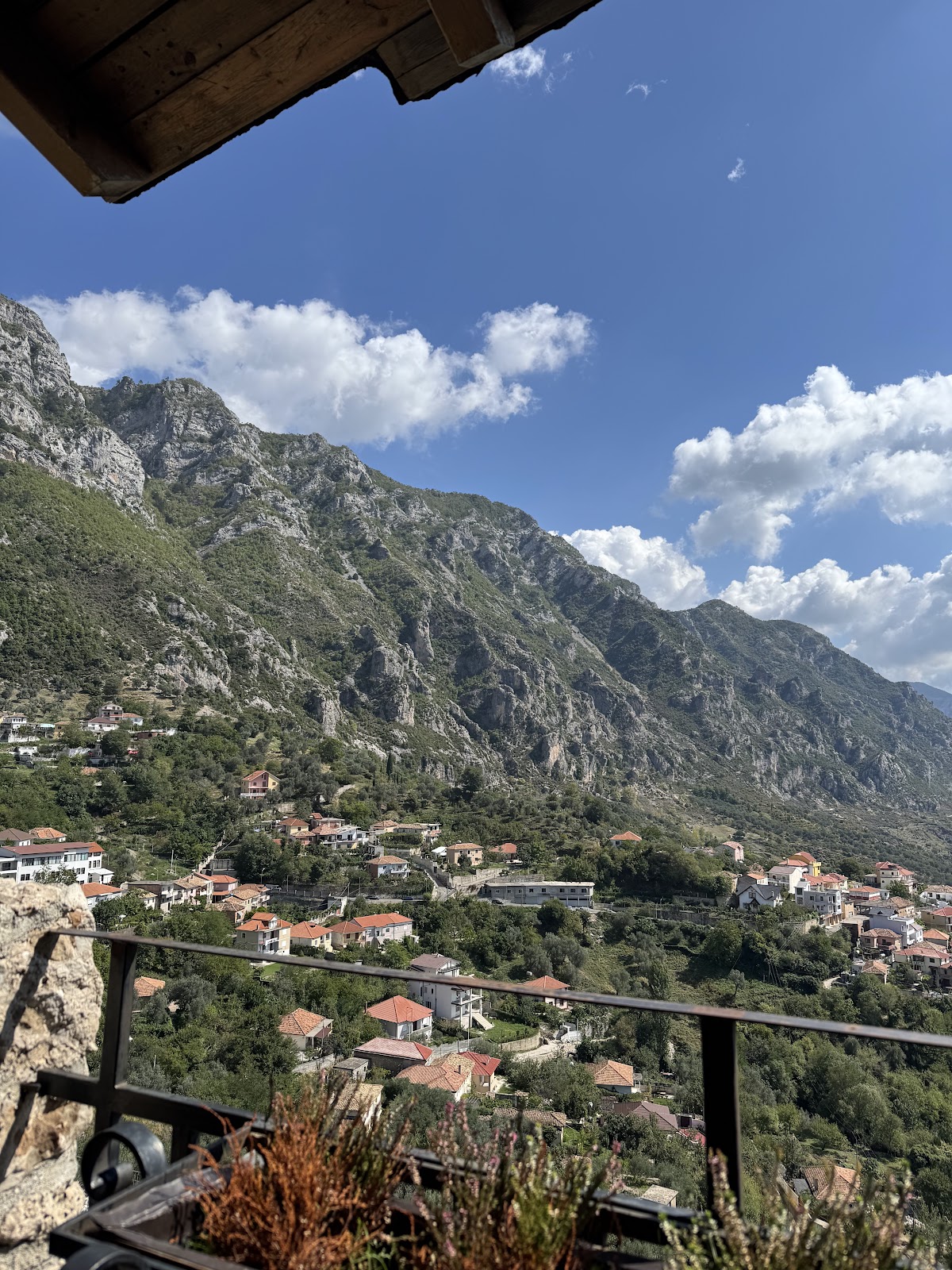 Restorant Bardhi photo 4