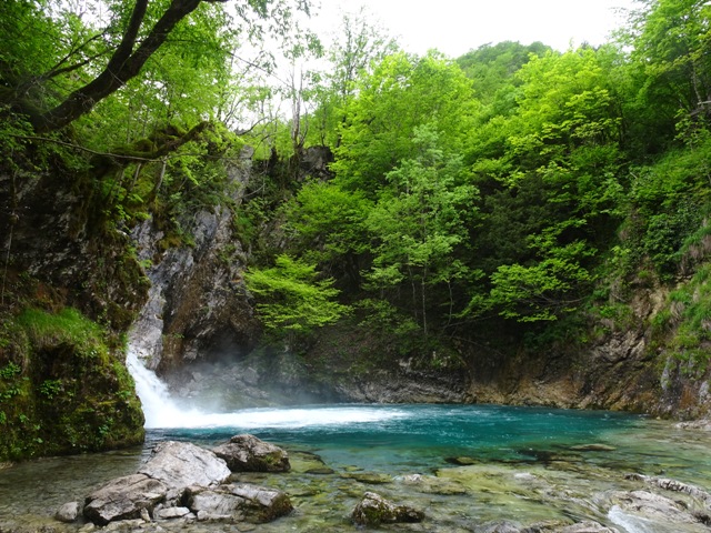 tenda, tavolina, karrike, çadra me qira) photo 5
