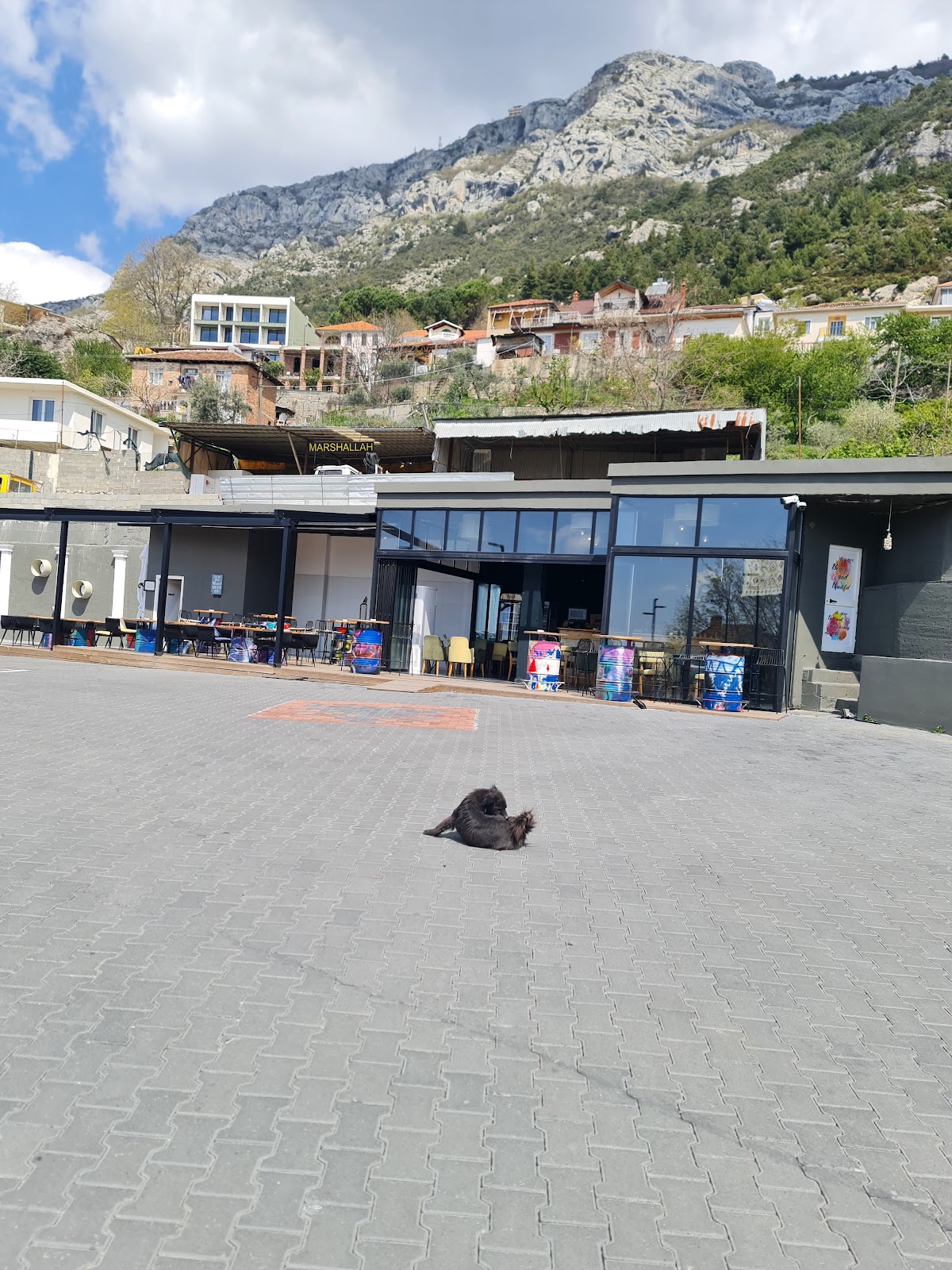 Hysen Park Krujë Bar Restaurant photo 2
