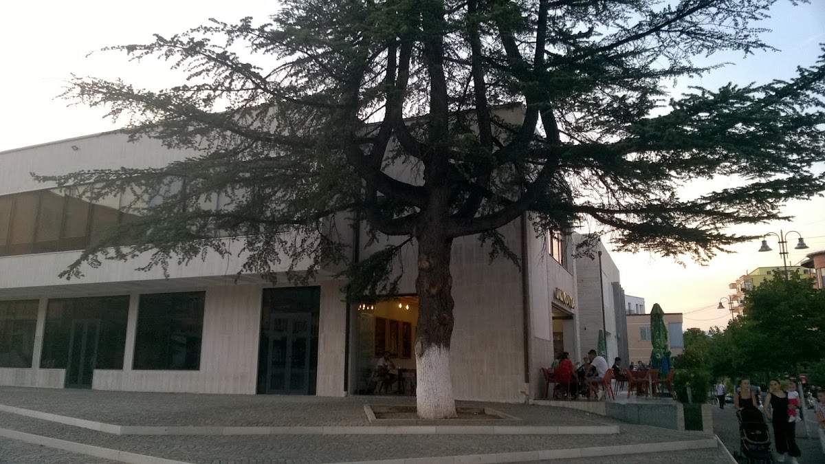 Cafe Mirdita photo 3