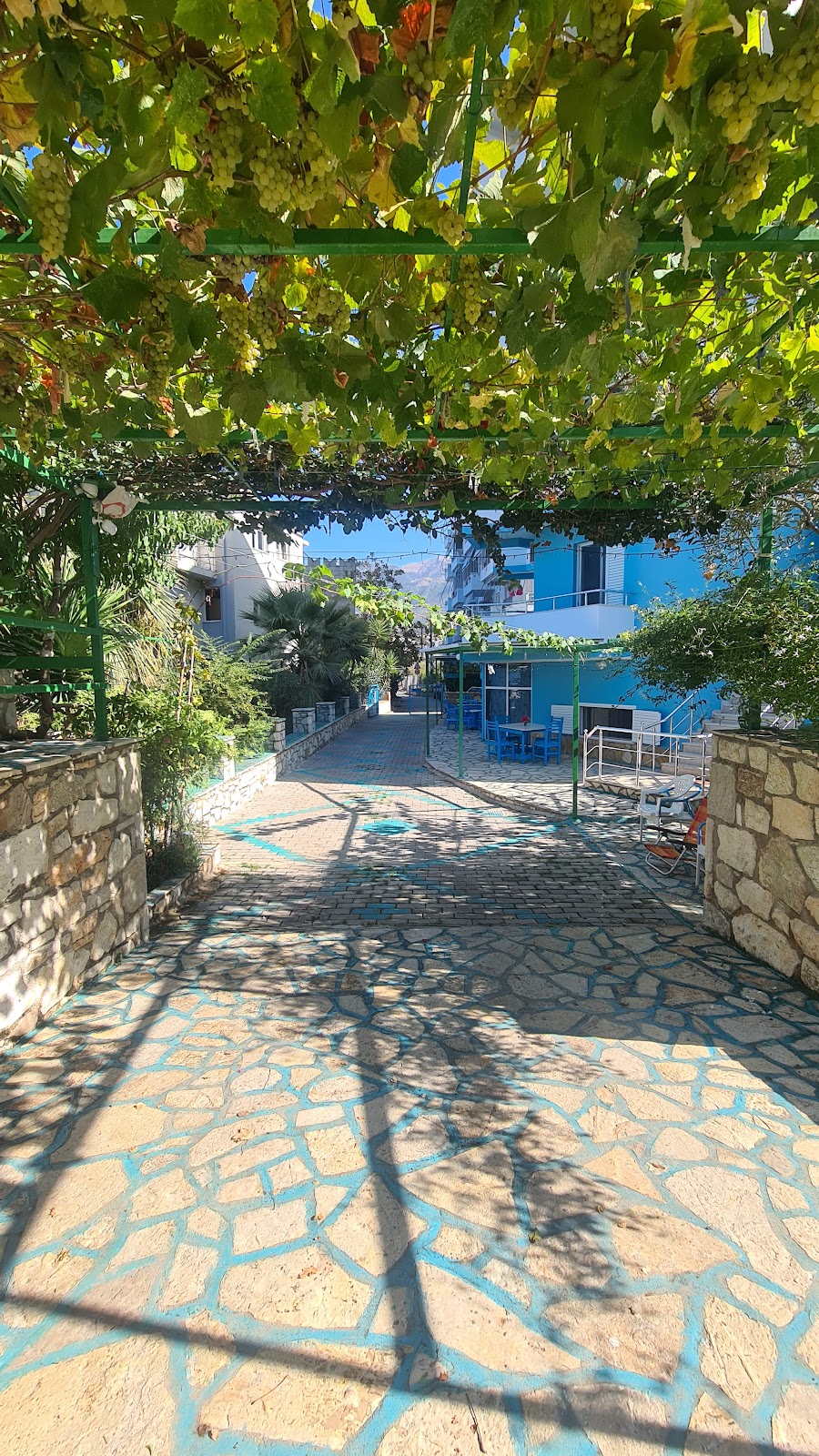 Hotel Emi photo 5