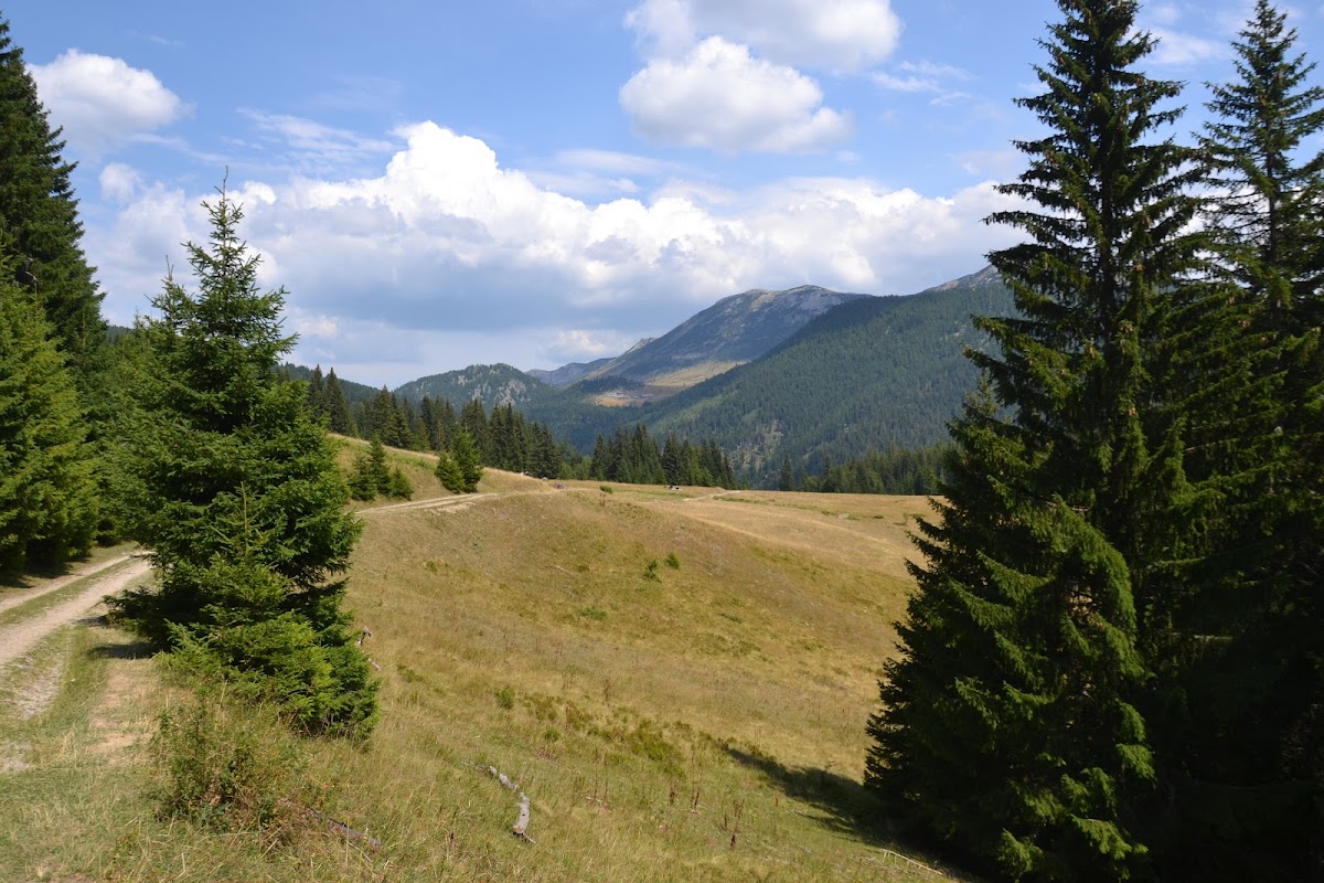 Shtypeq i vogel, Gurra e Llomit , Laz — Atraksione në Pejë