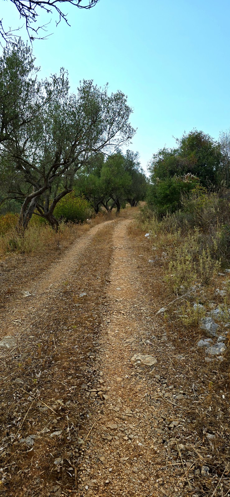 Ram Hill photo 5