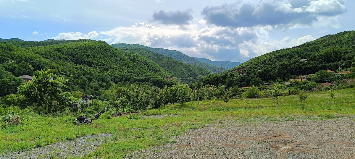 “KODRA E MULLIRIT” Bar & Restaurant photo 5