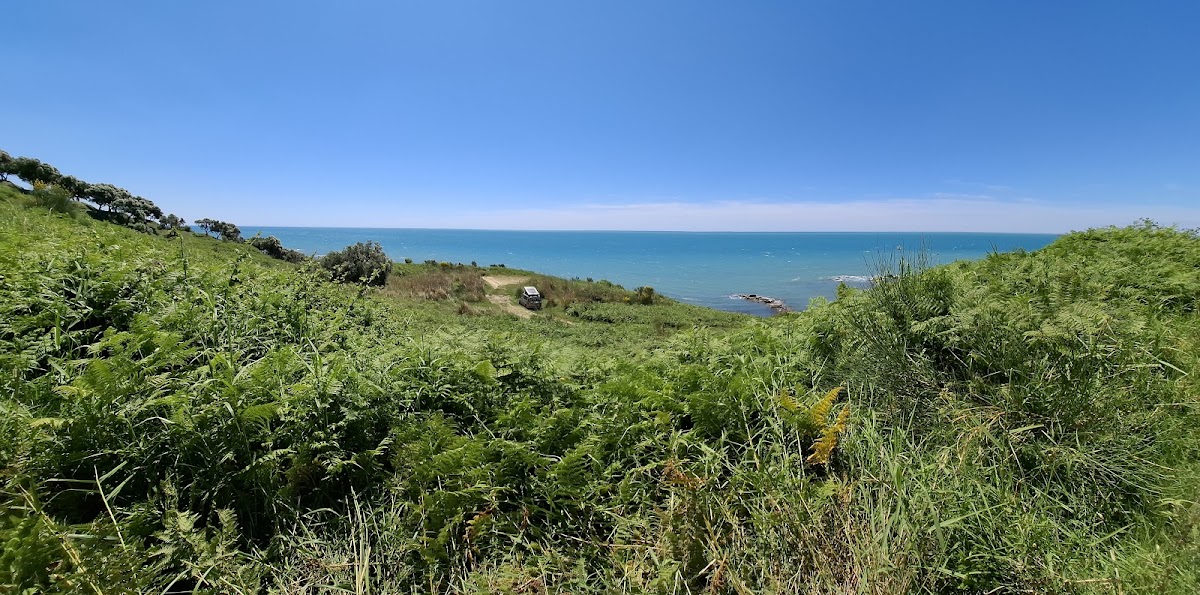 Stone beach photo 5