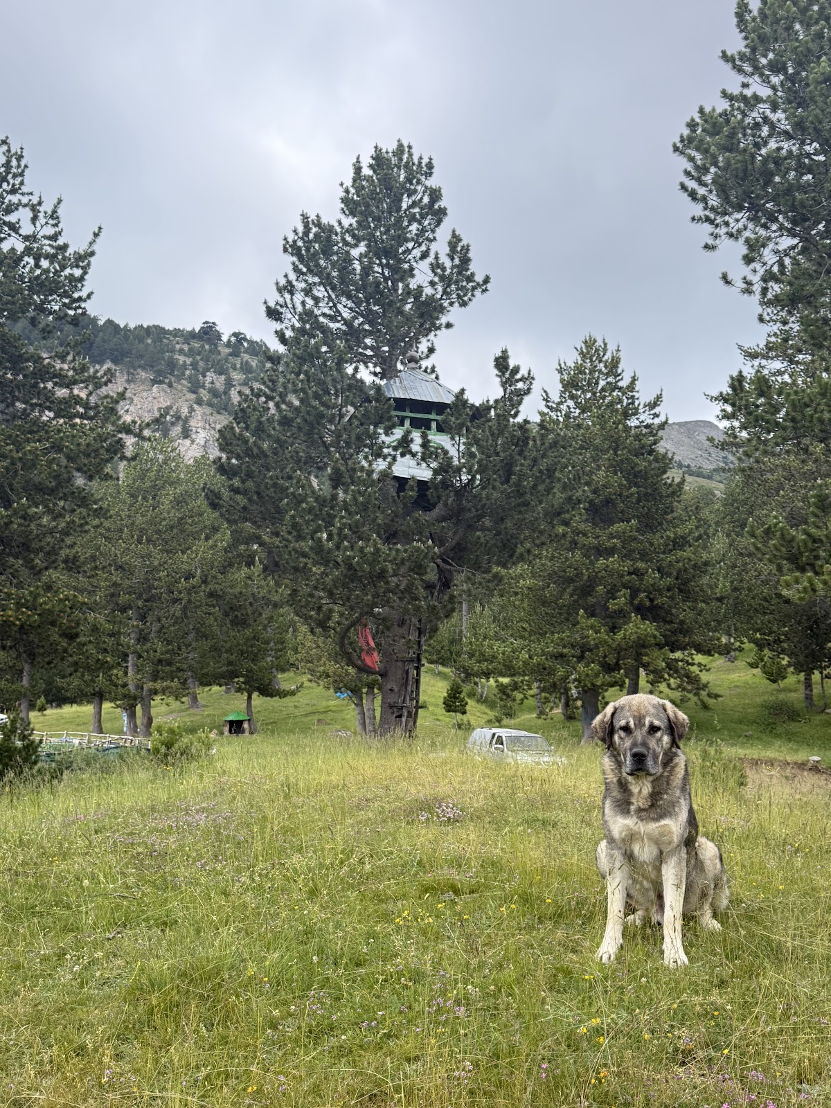 Observation Tower “Muharrem Cena” – Vajvodë photo 3
