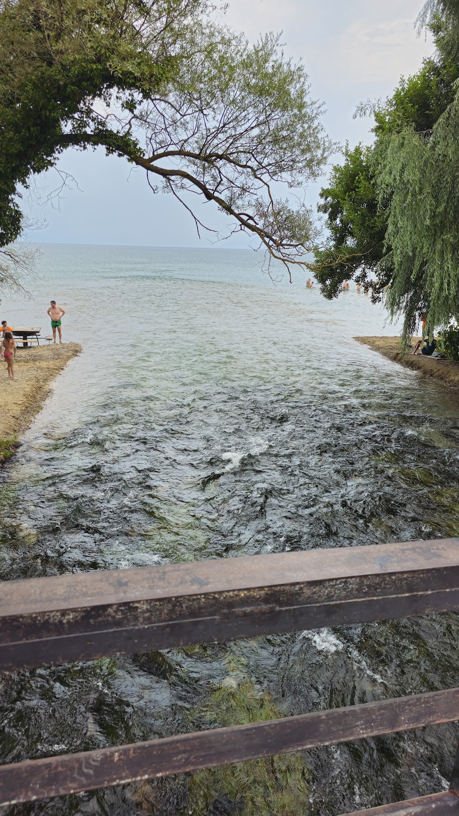 Black Drin River Springs photo 2