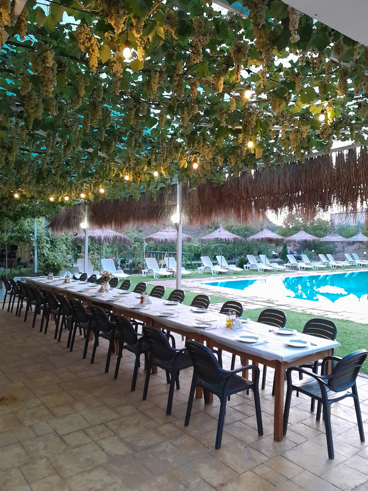 Bar restaurant "Kompleksi Holta"