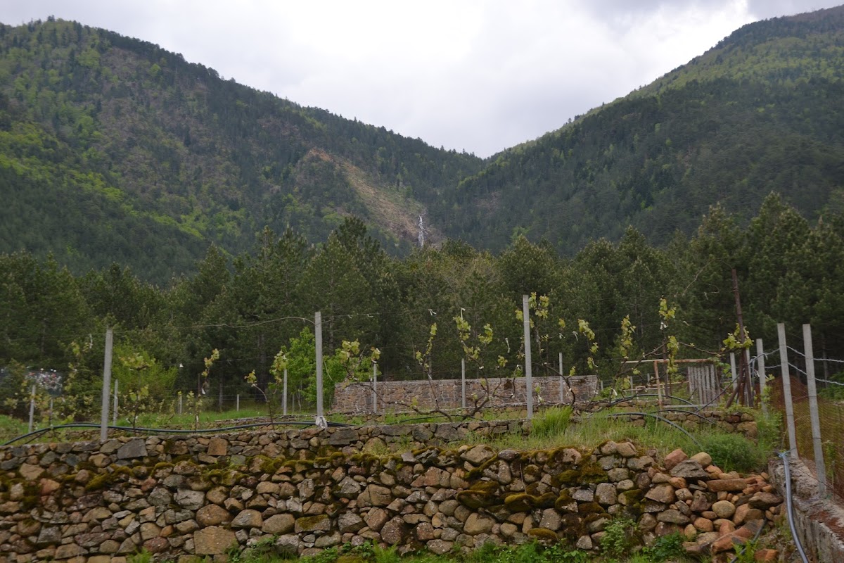 Alpine Villas Vajkal photo 2