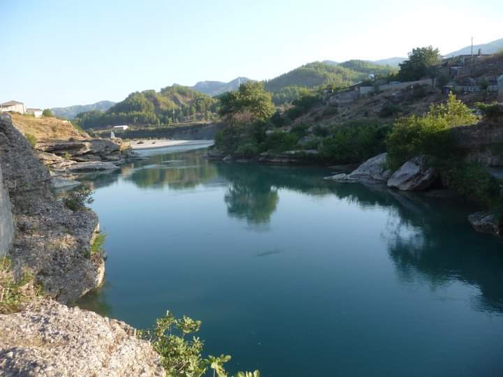 Bridge