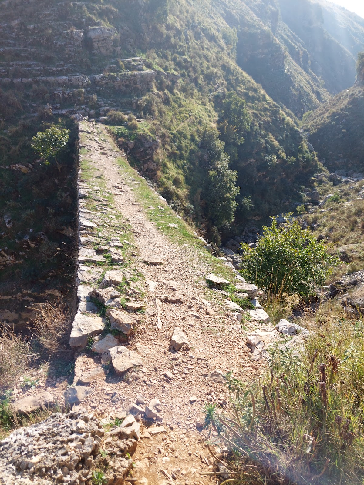 Ali Pasha Bridge Viewpoint photo 4