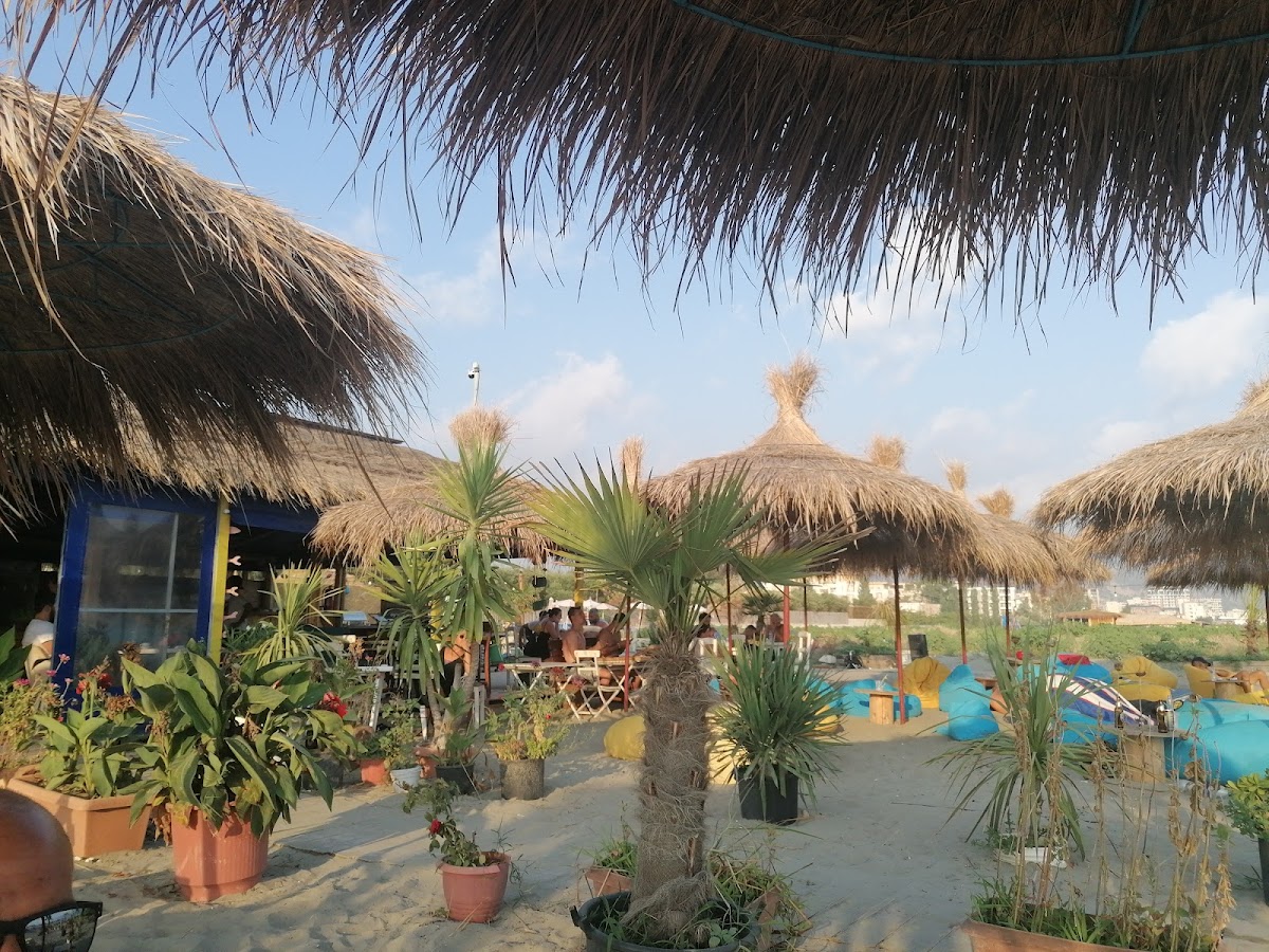 Paradise Tropical photo 2