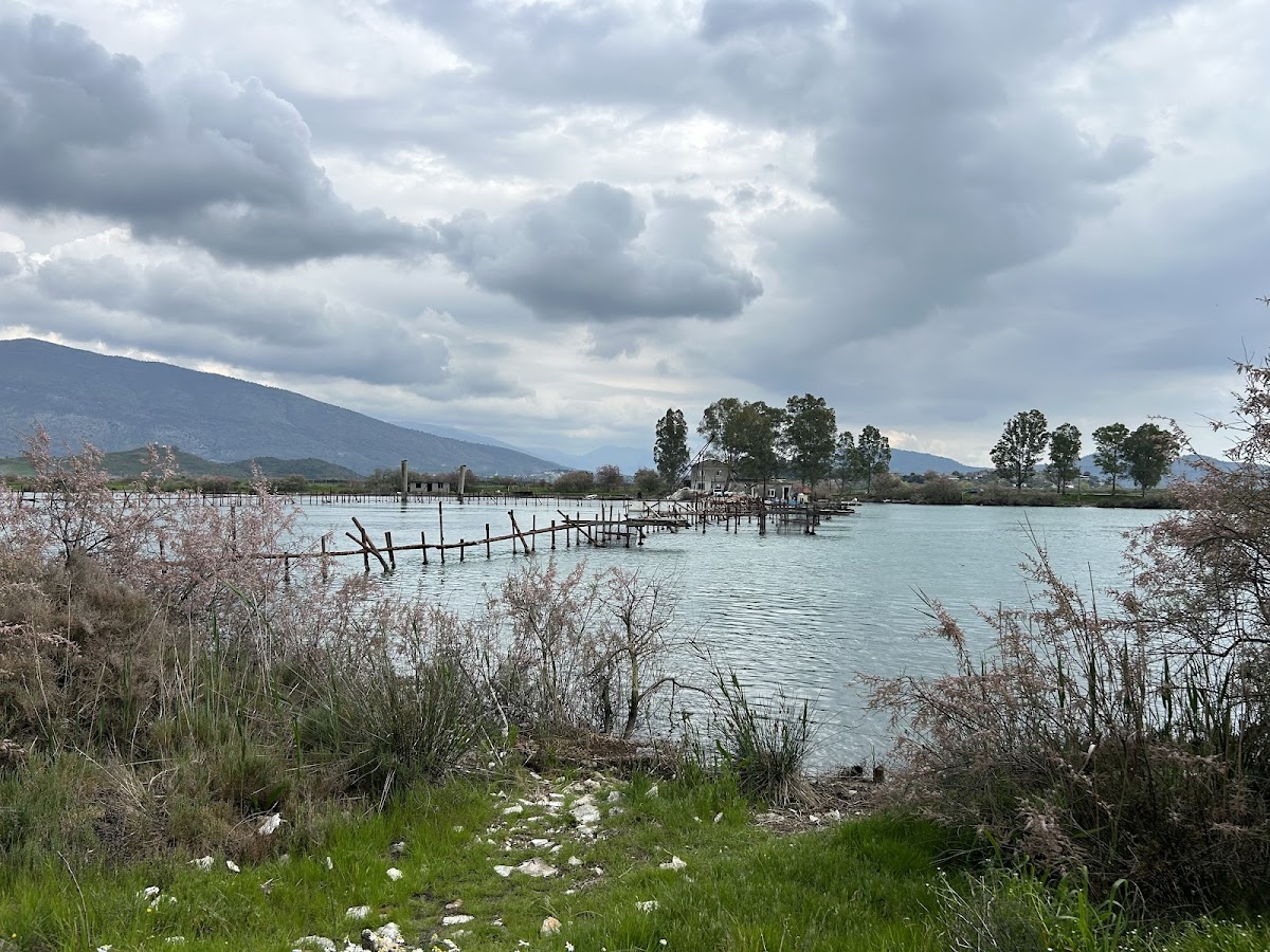 Bay of Butrint photo 4