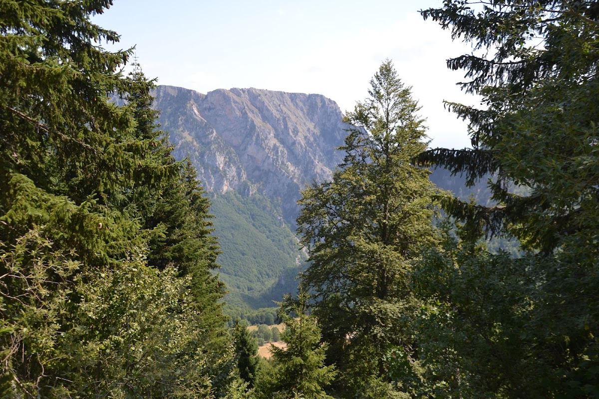 Shtypeq i vogel, Gurra e Llomit , Laz — Atraksione në Pejë — photo 5
