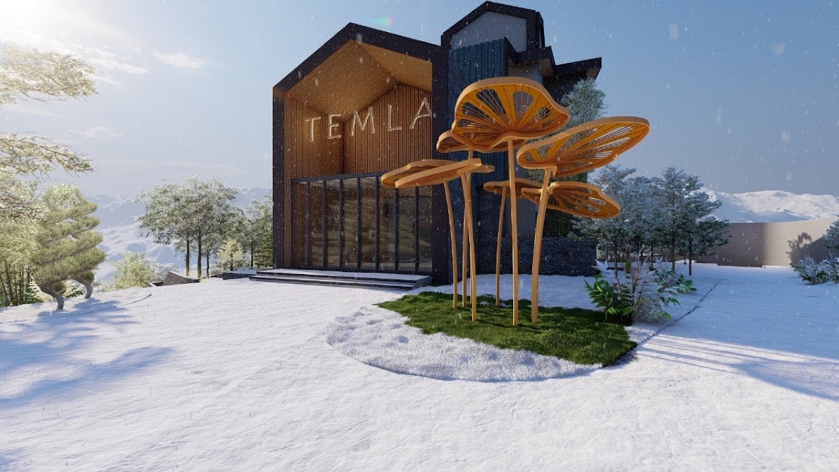 TEMLA photo 2