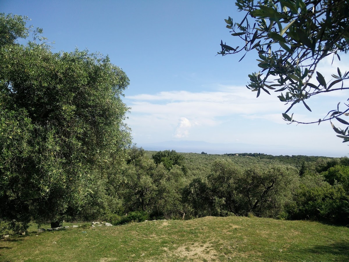 Shkolla Hostel photo 4