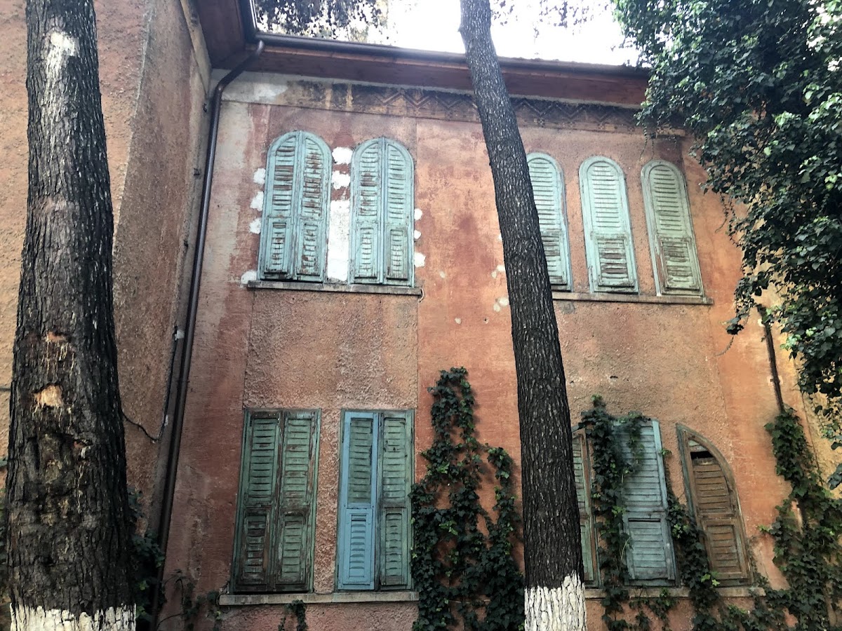 House of Leaves Museum photo 4