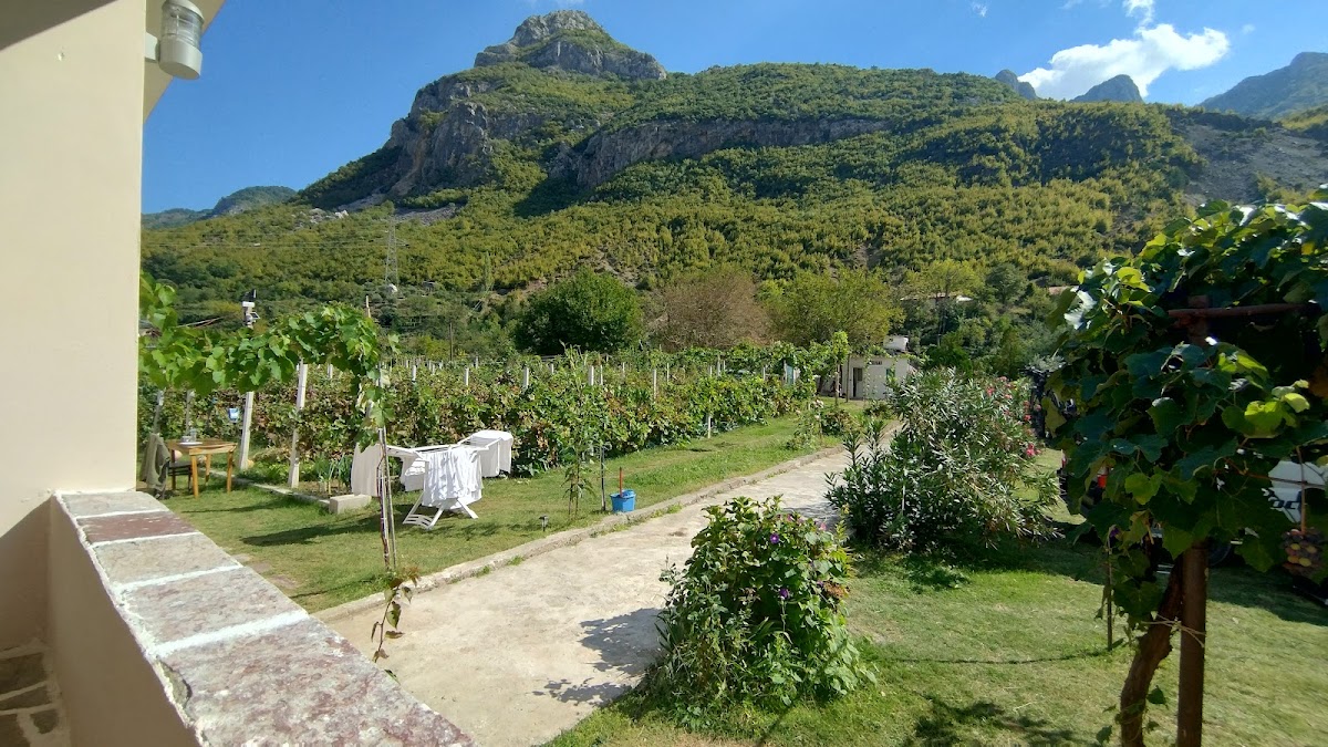 Guesthouse Camping Breeze of the Drin photo 4