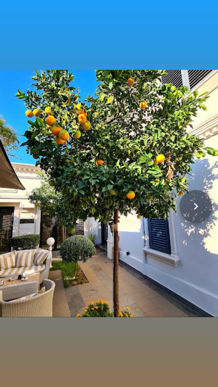 Green House Hotel & Restaurant — Hotele & Akomodim në Tiranë — photo 3