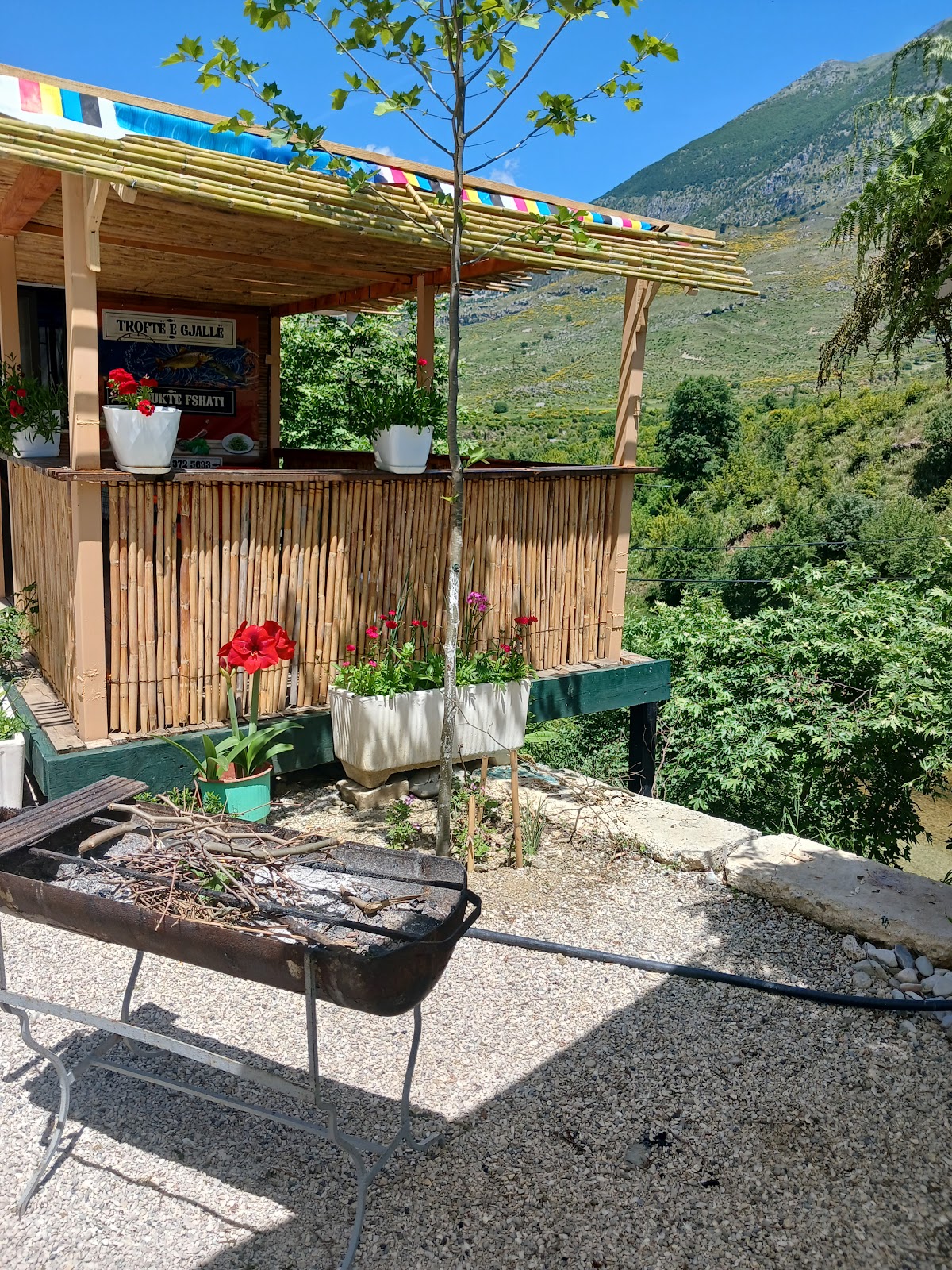 Gledisa Fresh Fish & Barbeque photo 3