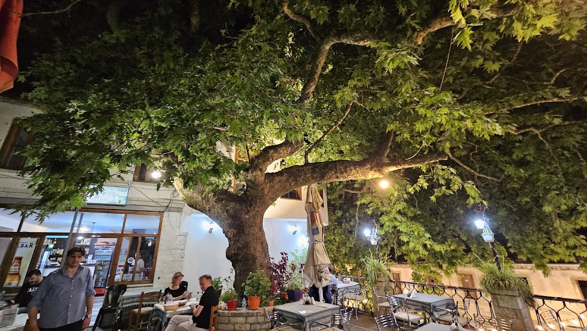 Rrapi Restaurant photo 3