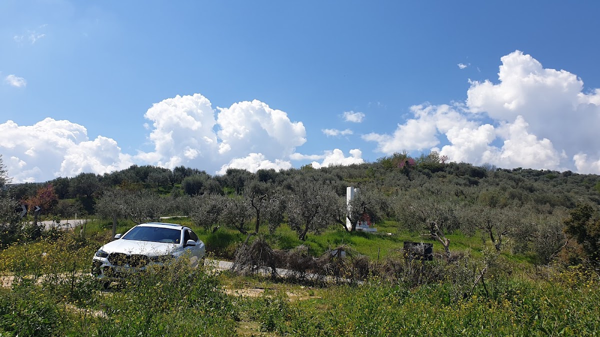 Goricë, Berat photo 5