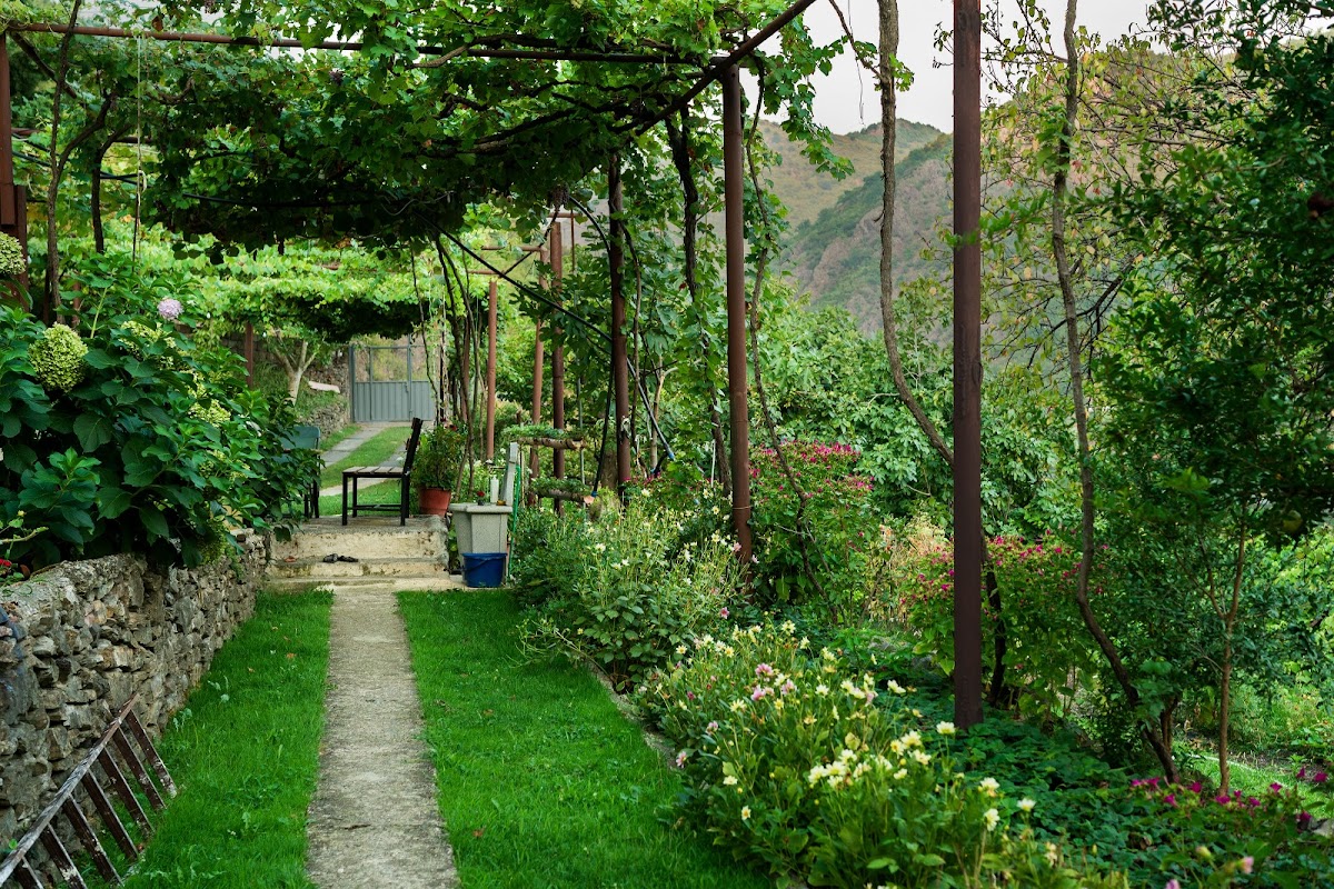 Doçaj Bed & Breakfast photo 3