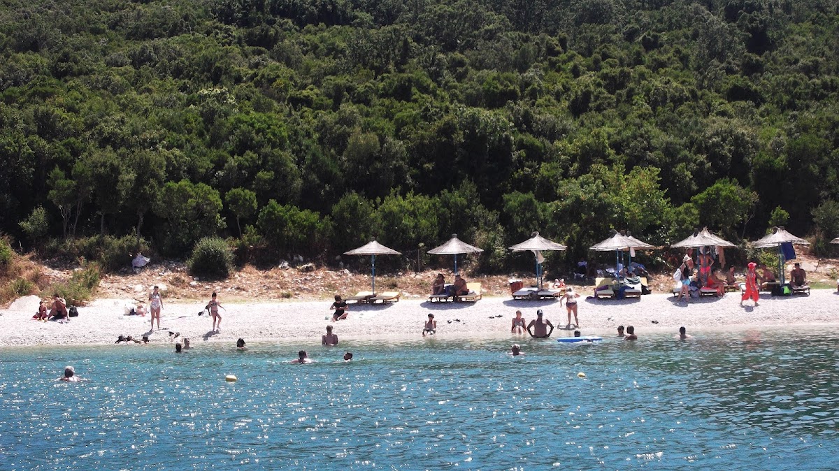 Teuta Boat Tours photo 5