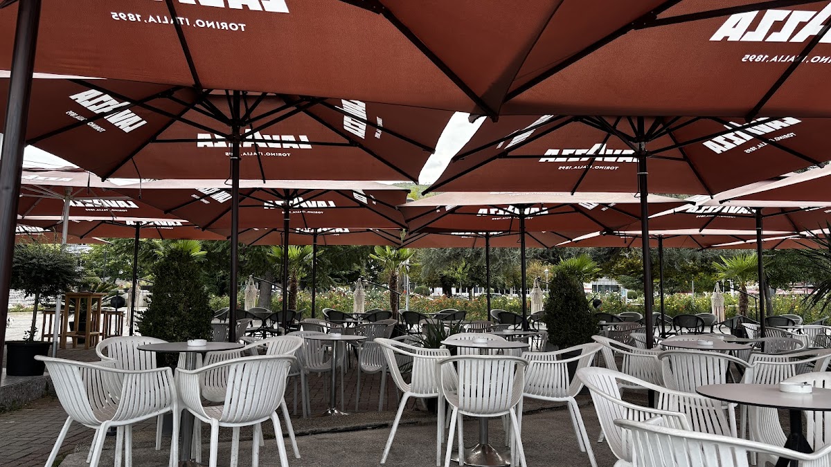 Bar Pelikani