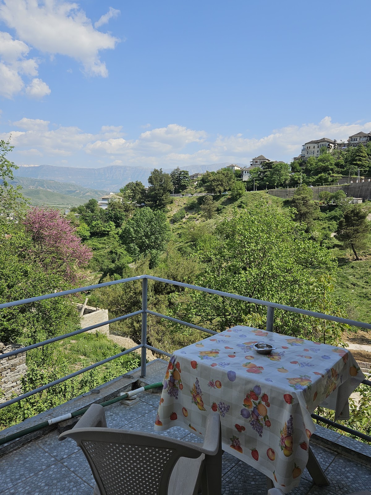 Guest House Garden photo 5