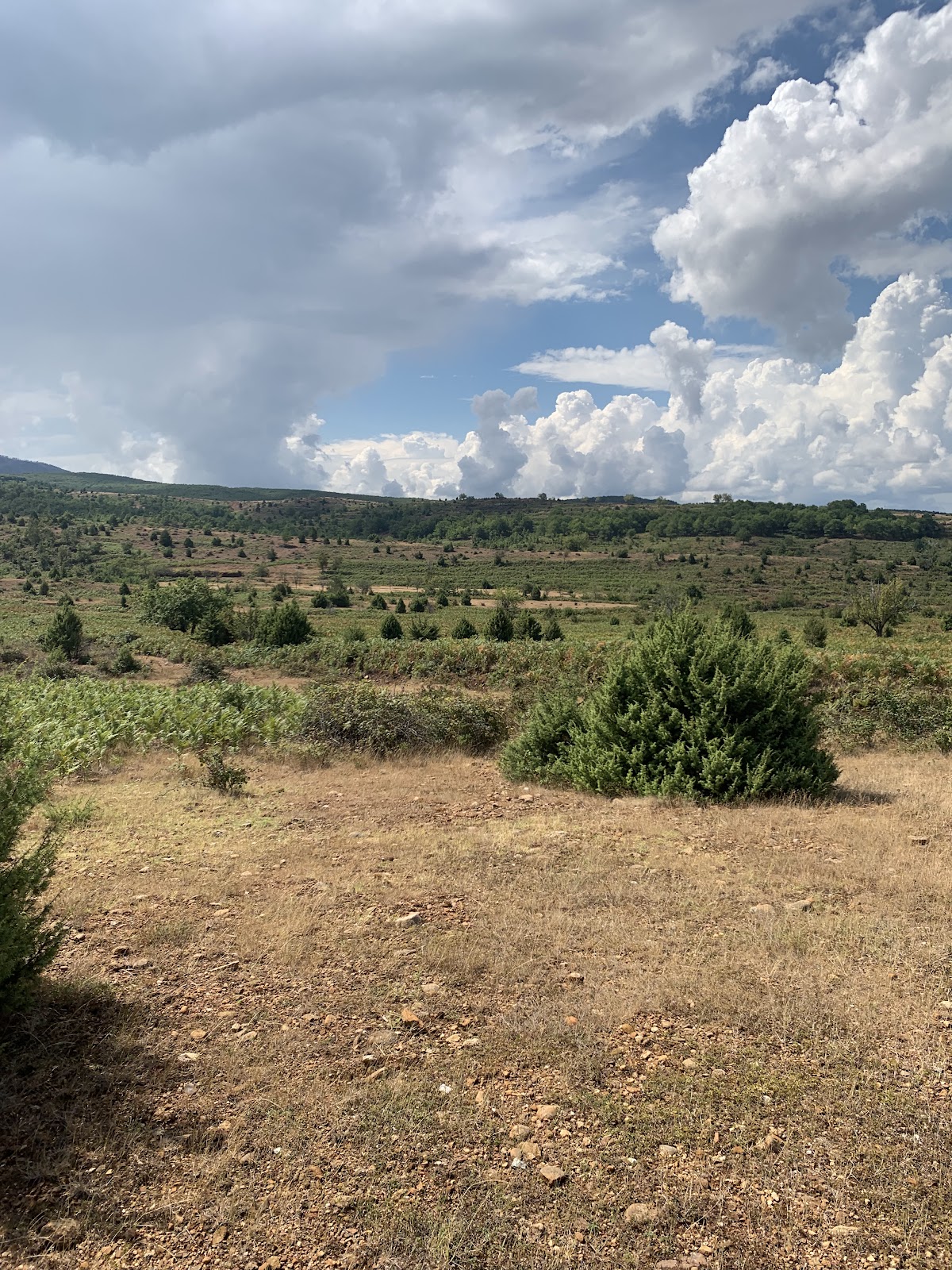 Agroturizëm Devin photo 3