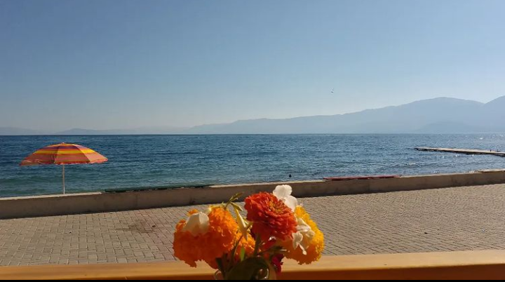 Te Minarollët photo 4