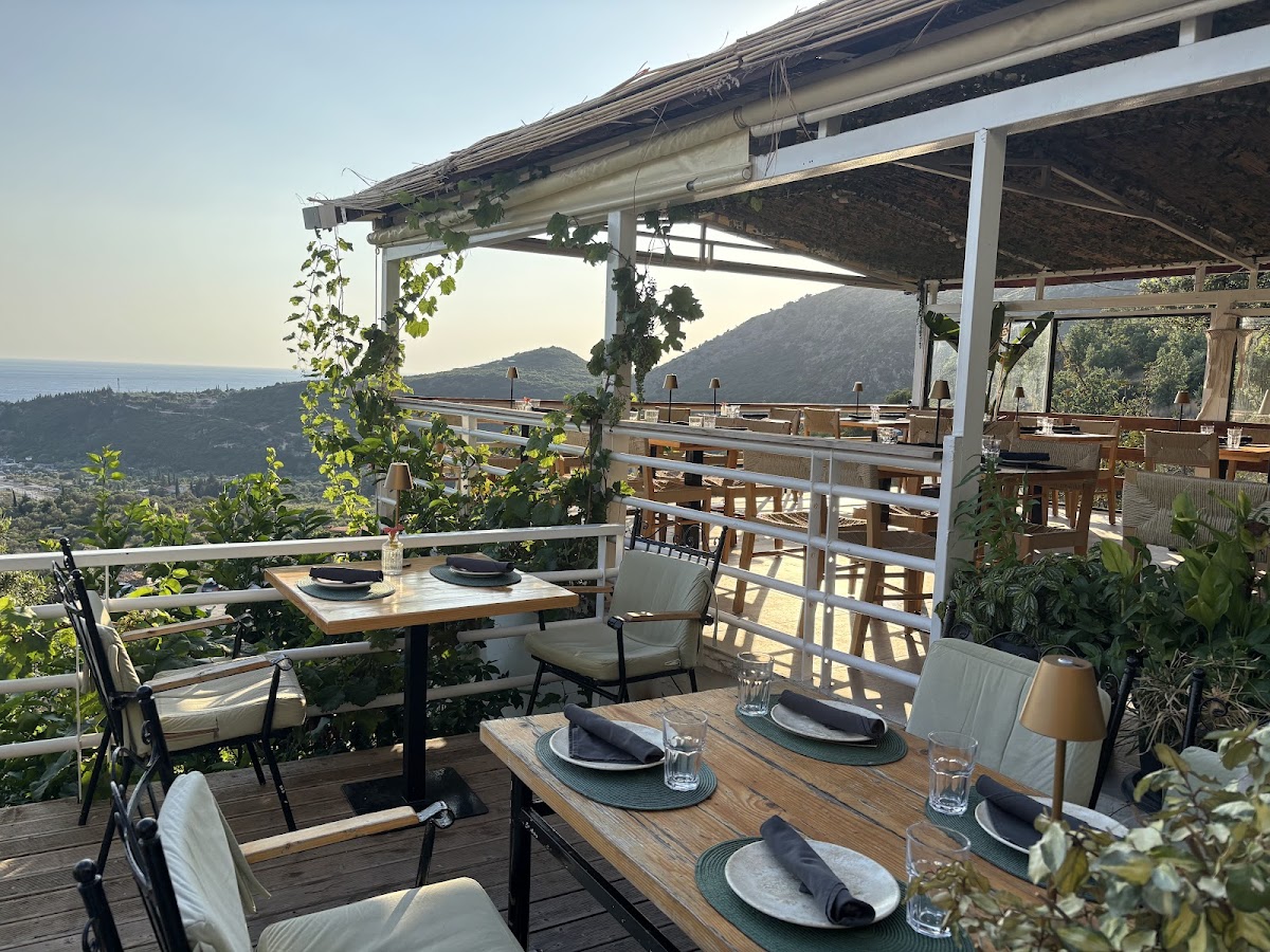 Fig and Olive photo 3