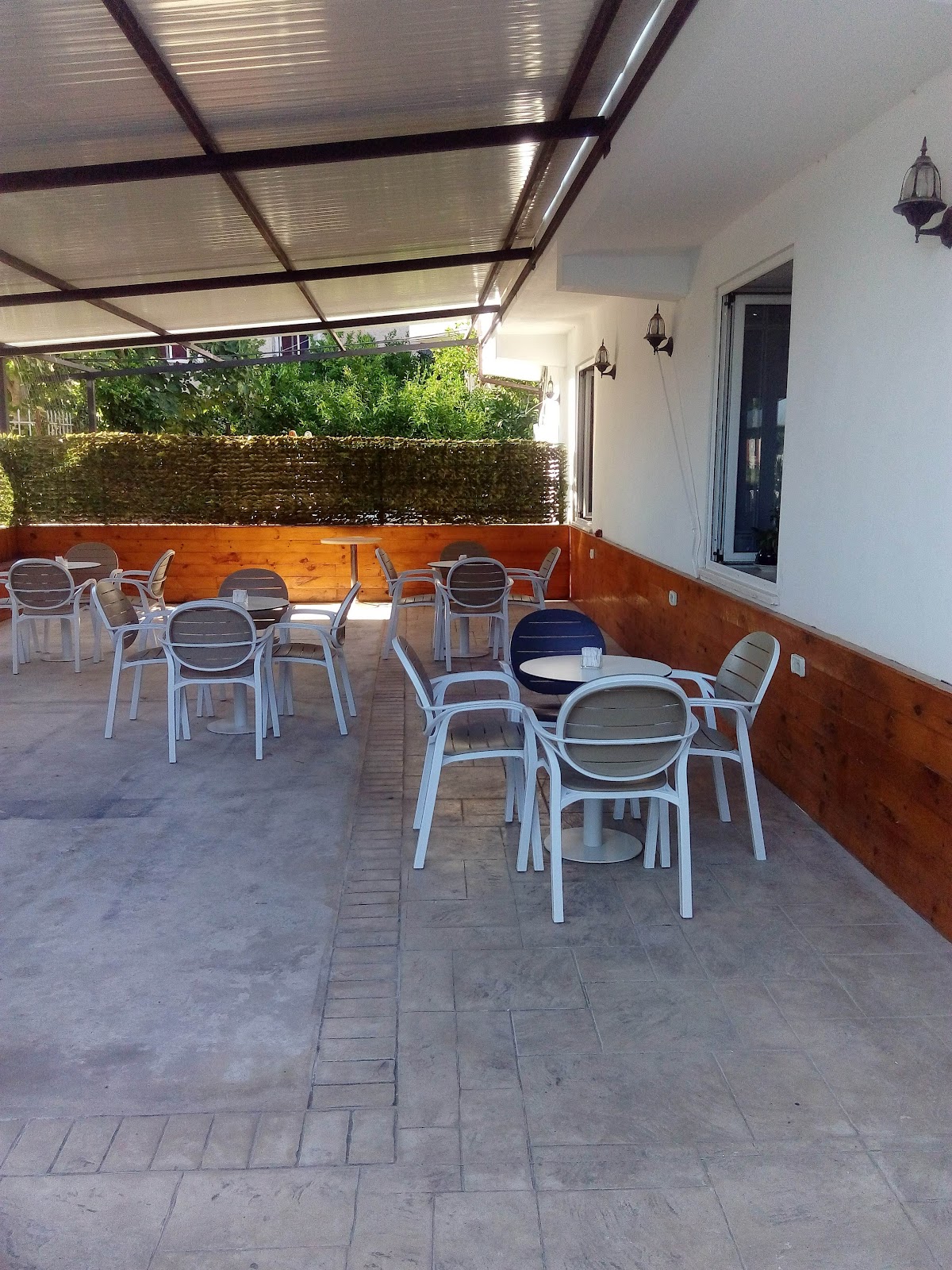 Garden Bar photo 4