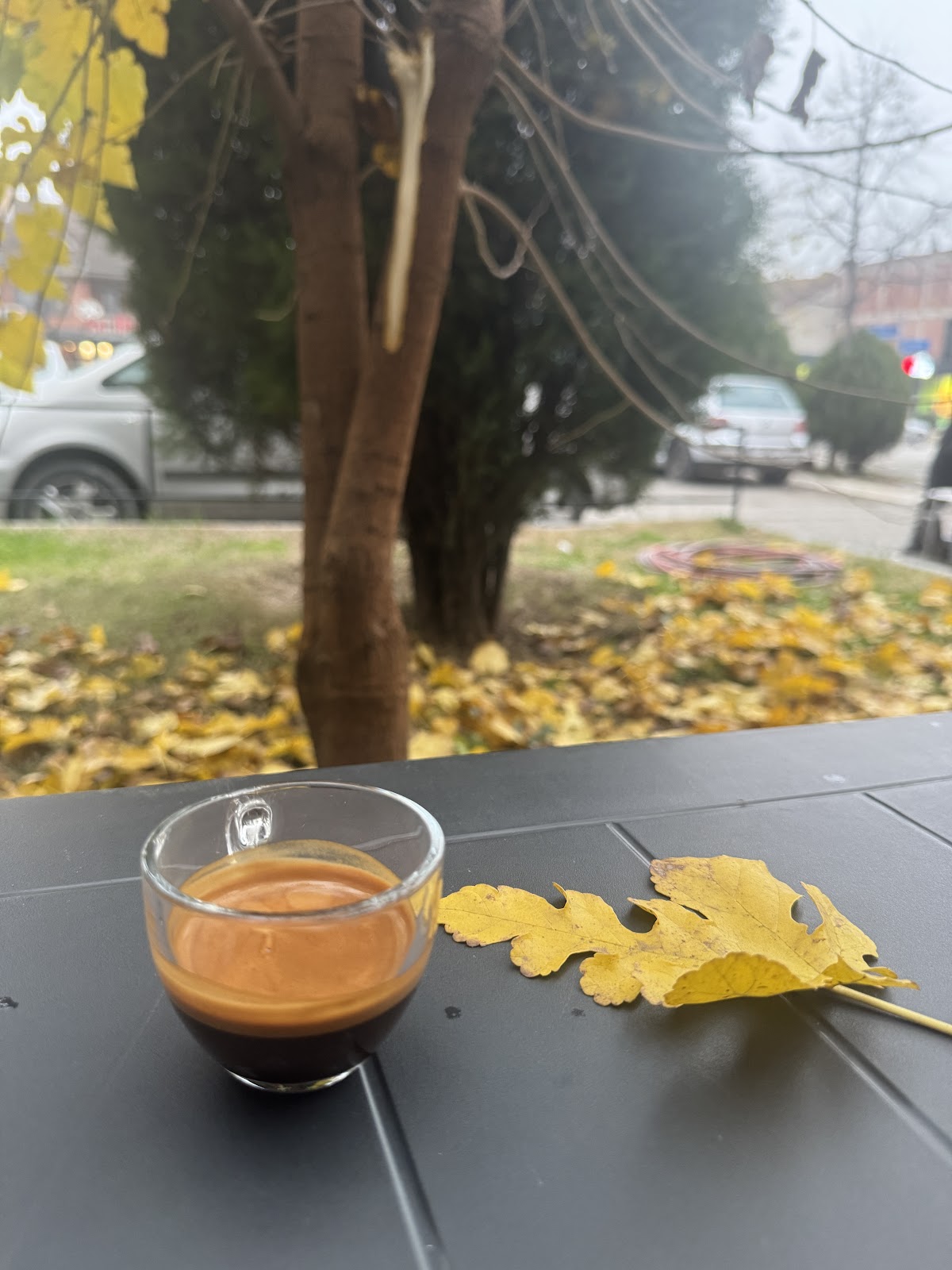 Caffe Nikki — Bare & Jetë Nate në Gjakovë — photo 2